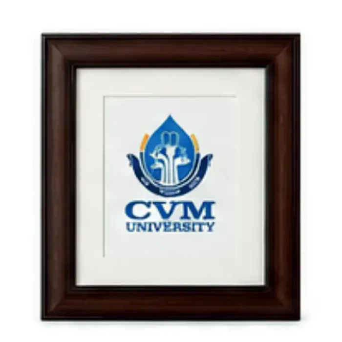 CVM Heritage Frame