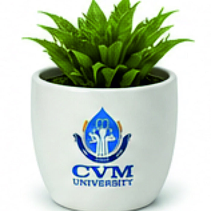 CVM Desk Planter